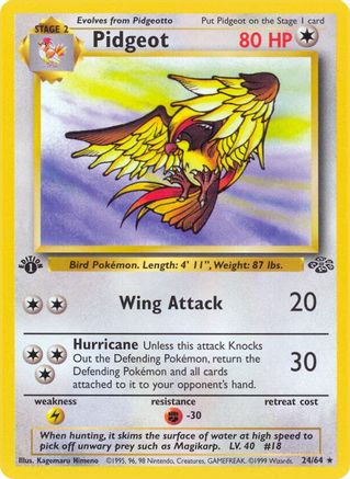 Pidgeot (24) 24/64 - Jungle 1st Edition