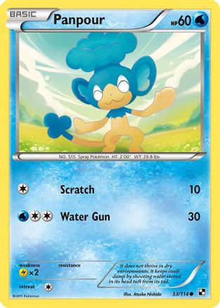 Panpour 33/114 - Black and White Reverse Holofoil