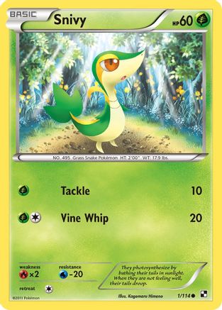 Snivy (1) 1/114 - Black and White Reverse Holofoil